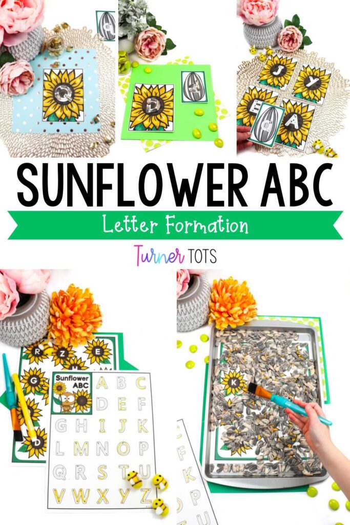 https://www.teacherspayteachers.com/Product/Sunflower-Seed-ABC-4174501
