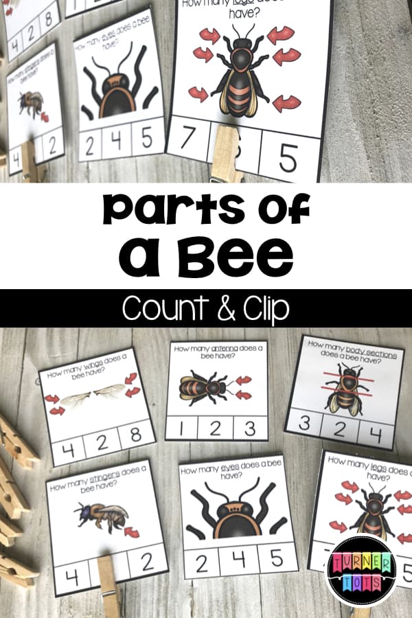 Parts of a Bee Count & Clip | Learn about the parts of the bee through this math and science bee-themed activity!