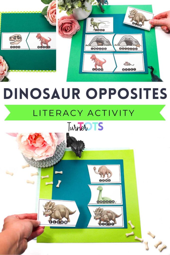 Dinosaur opposite self-correcting puzzles include pictures of dinosaur-themed opposite words as one of our dinosaur literacy activities for preschoolers.