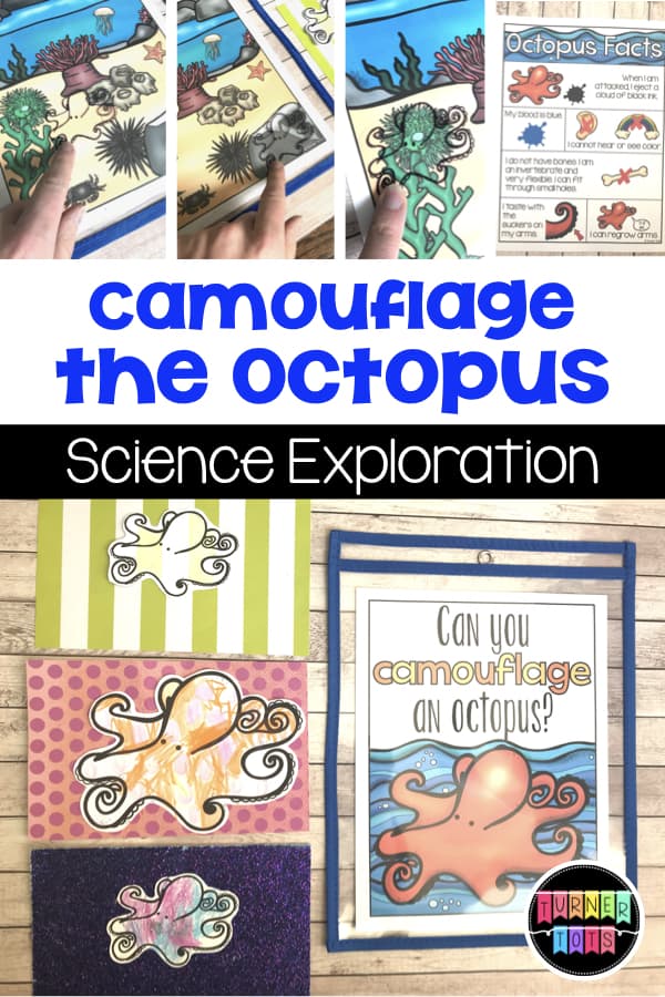 Camouflage the Octopus Science Exploration | Explore how an octopus can change its color to blend in and then try to camouflage your own octopus. Great activity for an ocean preschool theme!