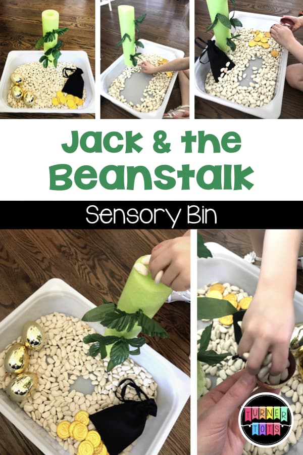 Jack and the Beanstalk Sensory Bin with dried lima beans, a pool noodle beanstalk, golden eggs and coins for preschoolers to explore, scoop, and dig through for a sensory experience.