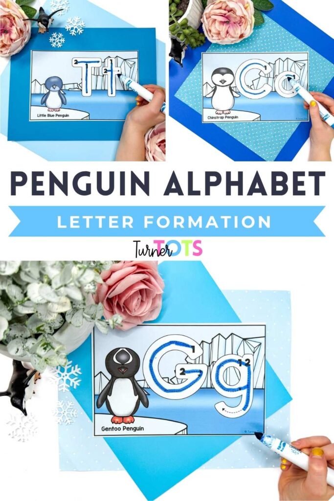 This penguin alphabet letter formation for preschoolers to practice tracing as one of our zoo literacy activities.