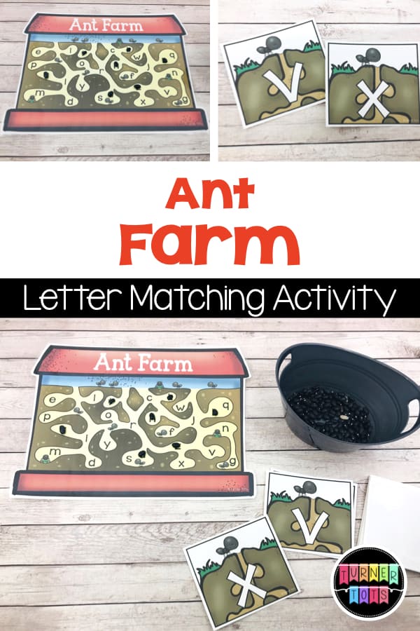 Ant Farm Letter Matching activity for preschool insect / bug theme.