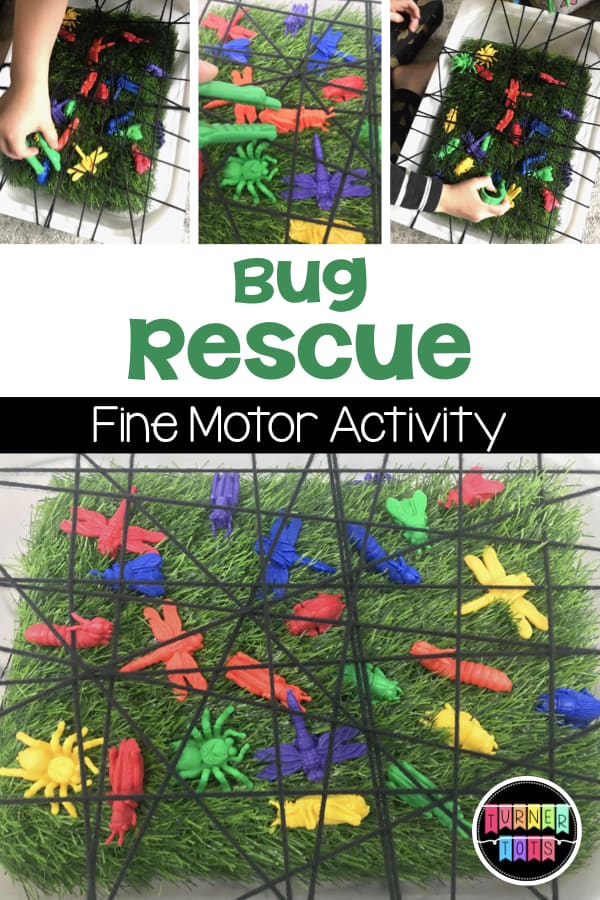 Bug Rescue | Save the insects from the spider web with this fine motor activity for your insect preschool theme.