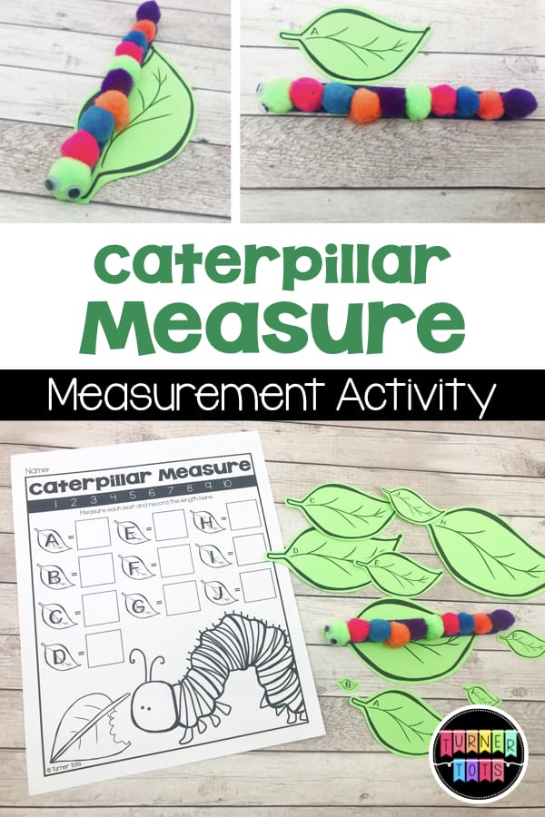 Caterpillar Measure | Use a pom-pom caterpillar to measure the leaves with this preschool math activity with a bug / insect theme!
