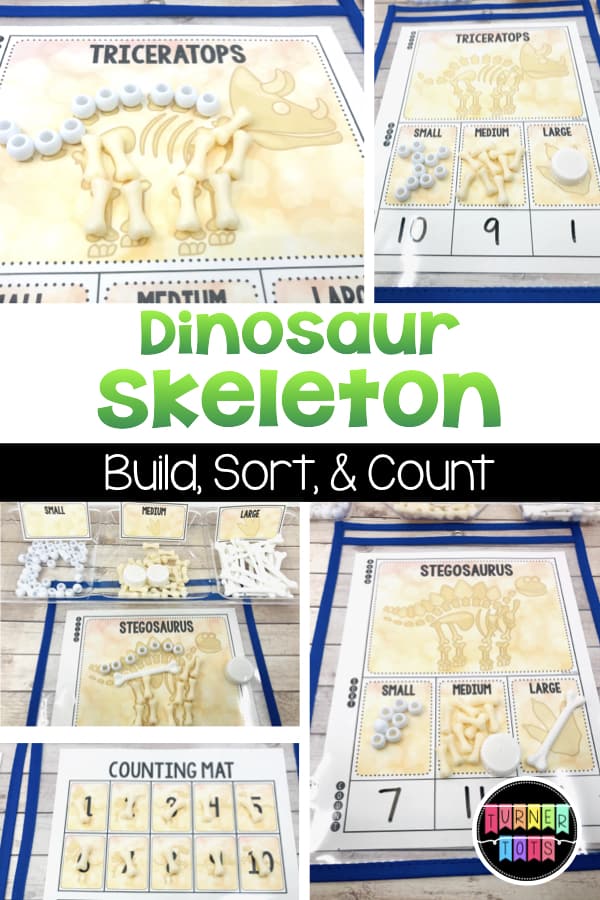 Dinosaur Skeleton Build, Sort, and Count | Build these dinosaur skeletons, then sort by size, then count them up! Great math activity for a dinosaurs preschool theme!