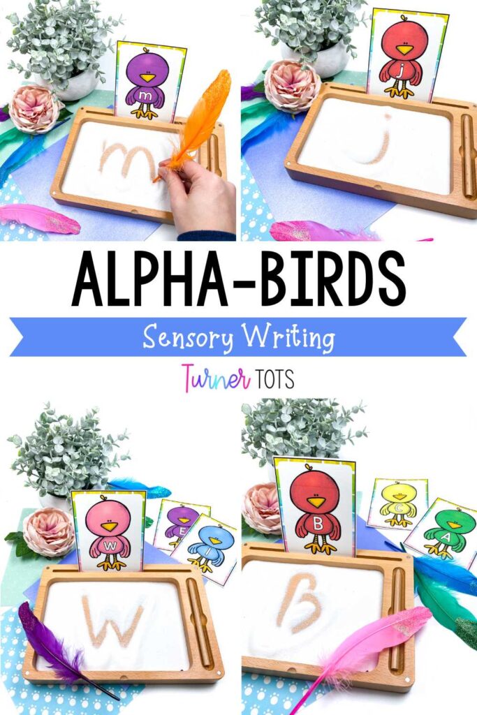 Colorful lettered birds to use with a salt tray for preschoolers to practice letter formation as one of their pet literacy activities.