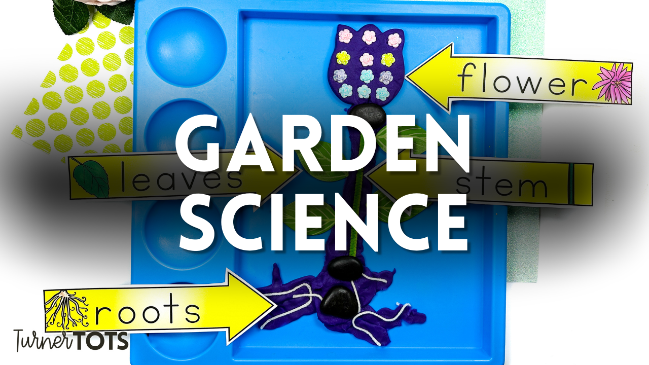 5 Plant Science Activities for Preschoolers to Plant a Love of Learning