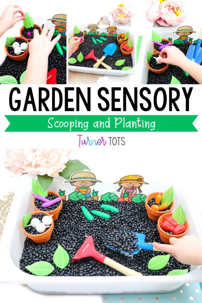Garden sensory bin filled with dried black beans, pots, leaves, vegetable counters, and shovels for preschoolers to explore as one of our garden fine motor activities.