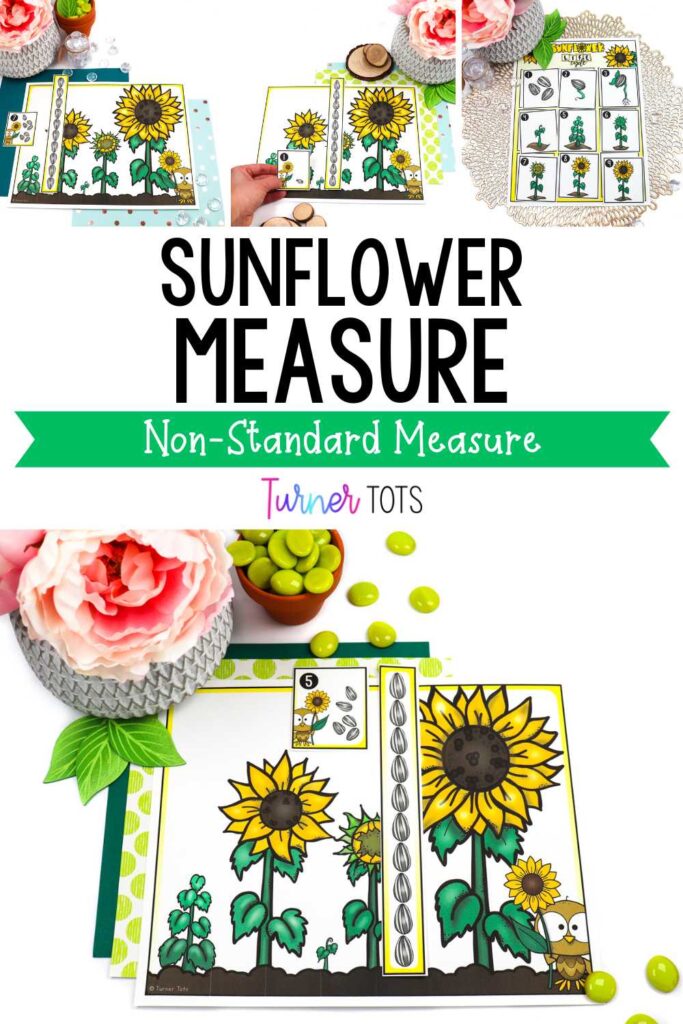 Sunflower mats include sunflowers in different heights for preschoolers to measure with a sunflower seed ruler. This also includes the life cycle of a sunflower number match.