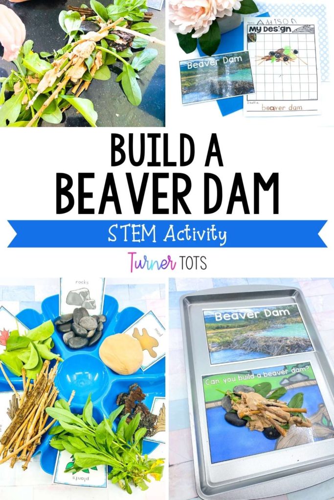 Beaver dam STEM activity with a tray full of materials such as rocks, sticks, brown play dough, and leaves for preschoolers to build a beaver dam.