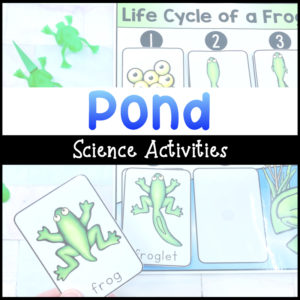 Pond Science Activities for Preschoolers