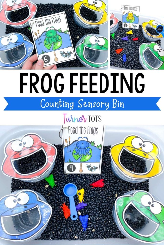 Frog feeding counting sensory bin includes a sensory bin filled with dried black beans and fly counters to feed to the frogs (frog printables taped onto plastic containers).