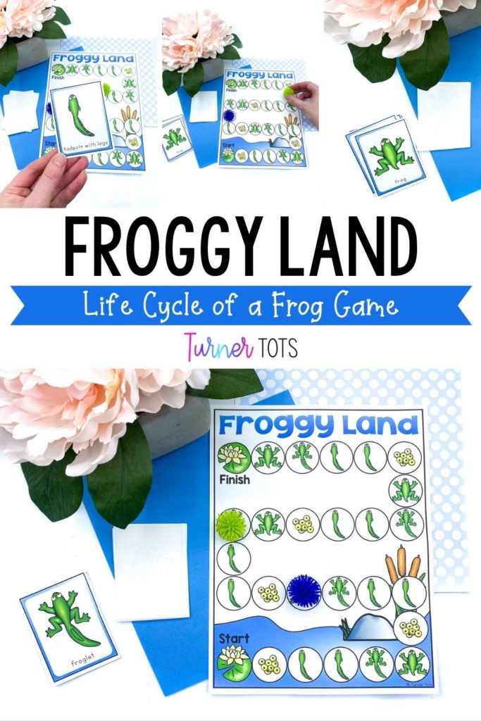 Life cycle of a frog game as one of our pond science activities.