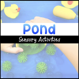 Pond sensory activities with ducks in blue water.