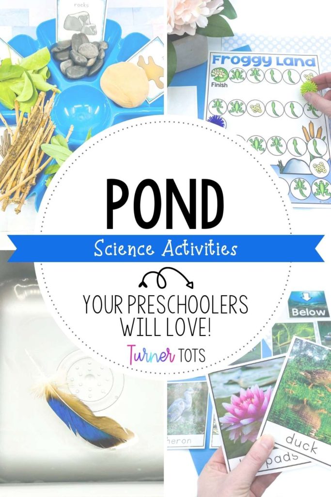 Pond science activities with materials to build a beaver dam, life cycle of a frog game, feather investigation, and pond life sorting activity.