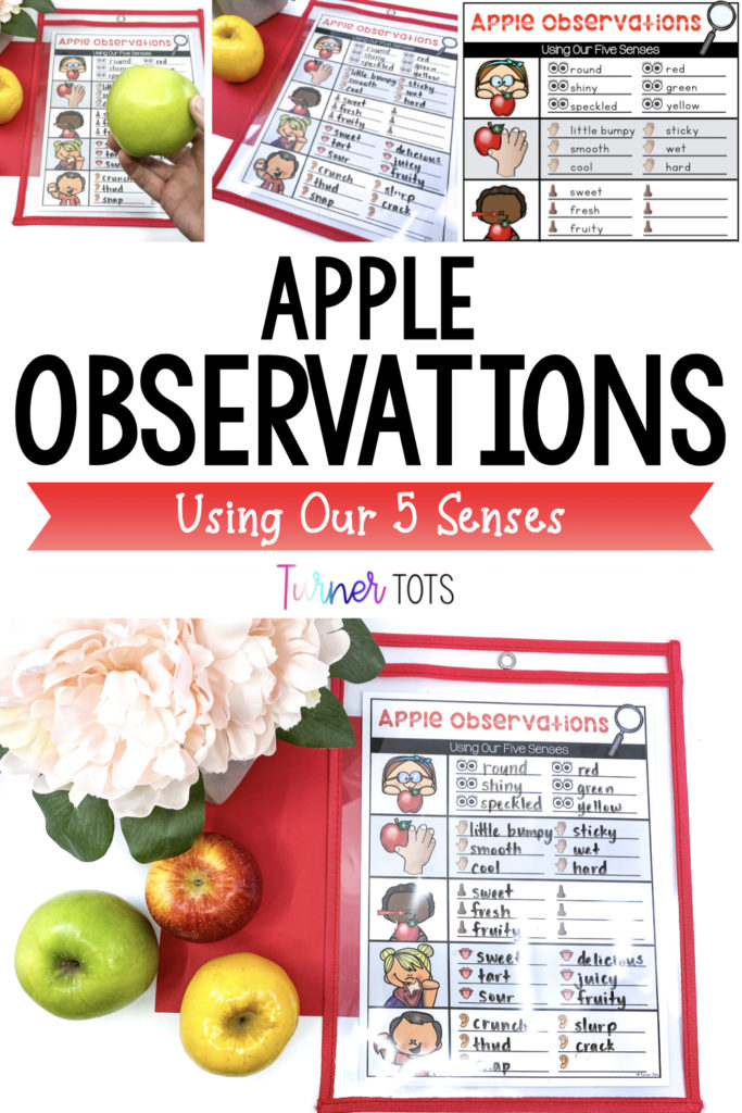 Apple observations include red, green, and yellow apples to observe using senses. The chart includes pictures of each sense for a preschool apple science activity.
