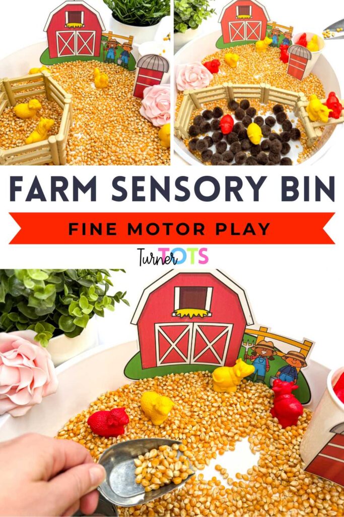This farm sensory bin is filled with popcorn kernels, farm animals, a printable barn, and a shovel for preschoolers to practice scooping and pouring during a farm theme.