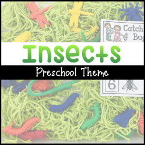Insects Preschool Theme