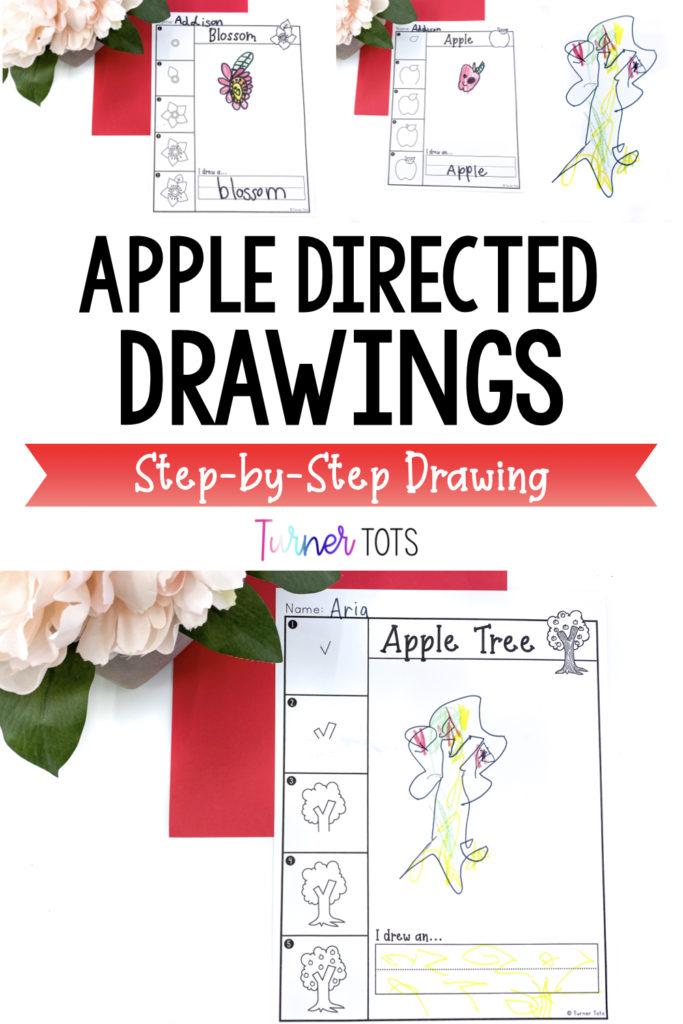 Apple directed drawings include printables with step-by-step instructions on how to draw an apple, an apple tree, and a blossom.