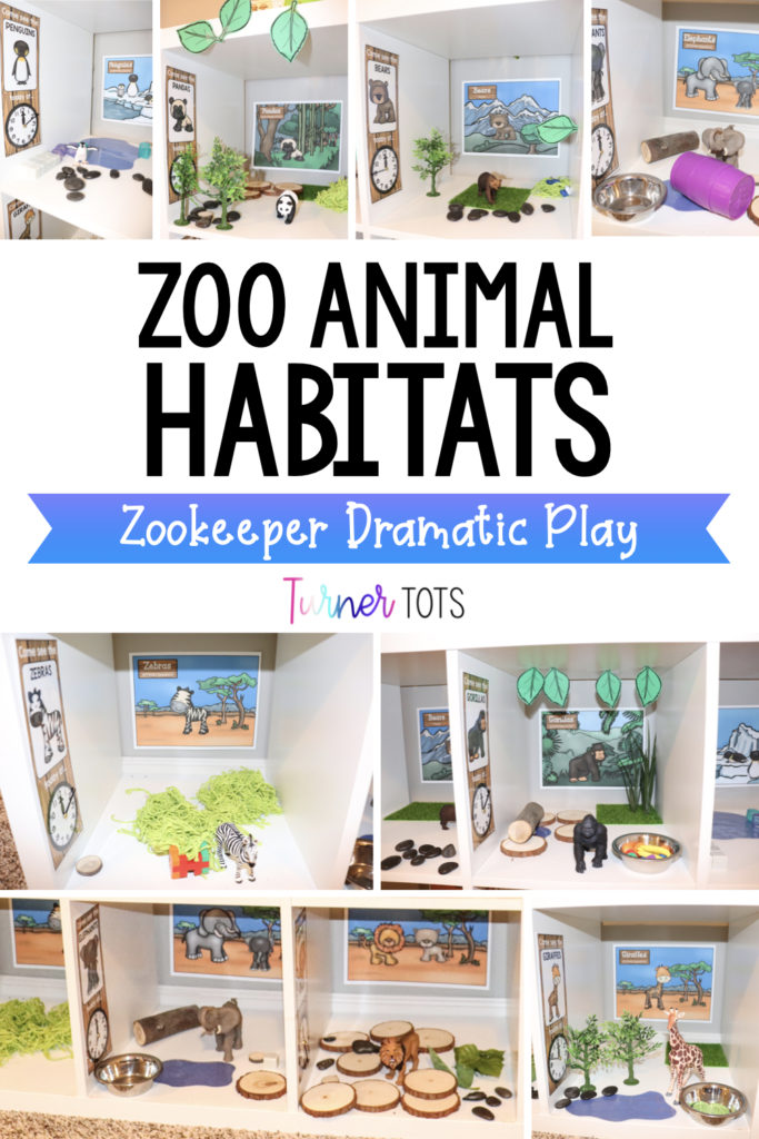 Zoo animal habitats with a shelf for each zoo animal for preschoolers to build the habitats.