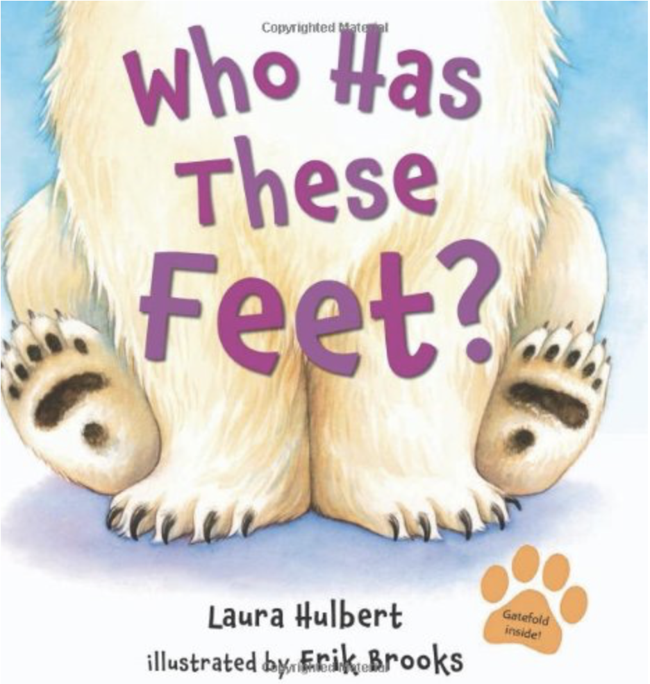 Who Has These Feet? by Laura Hulbert includes an illustration of the bottom of a seated polar bear showing its feet for zoo books for preschoolers.