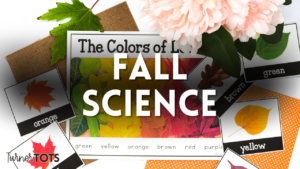 Fall Leaf Activities for Preschoolers to Spark Fun & Creativity