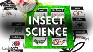 Bugs and Science Activities for Preschoolers to Explore Tiny Critters
