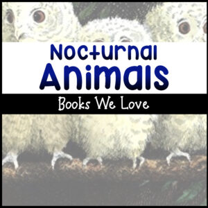 Nocturnal Animal Books for Toddlers