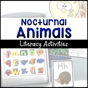 Nocturnal Animals Literacy Activities