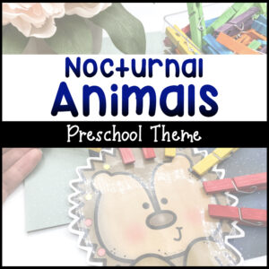 Nocturnal Animal Preschool Theme