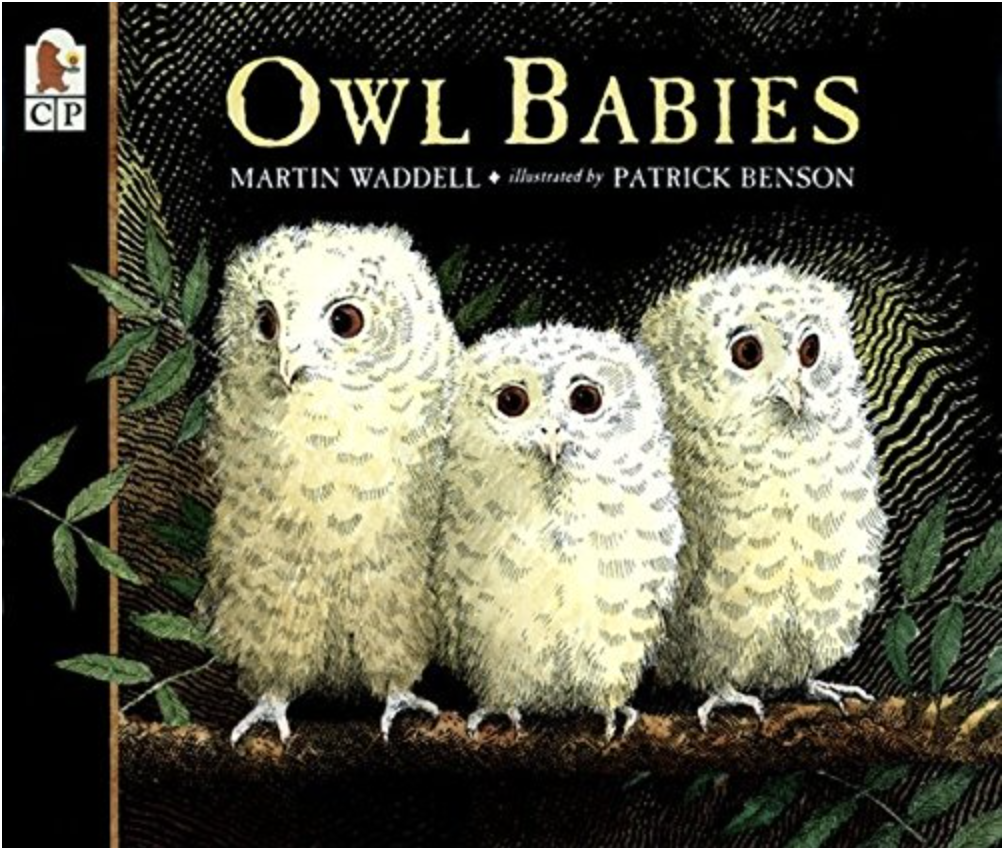 Owl Babies by Martin Waddell includes an illustrated cover of three white baby owls sitting on a branch.