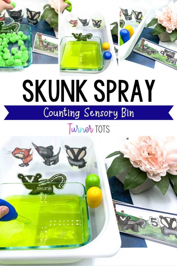 Skunk counting activity that includes cards with other nocturnal animals (fox, badger, and wolf) that preschoolers will “spray” with skunk spray (green water or green pompoms). This is one of our nocturnal animal math activities.