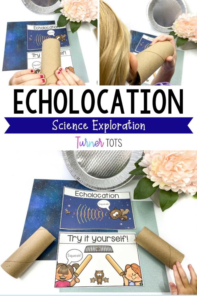 This echolocation activity is done by one person whispering into a cardboard tube aimed at a pie tin, while the other person listens through a cardboard tube.