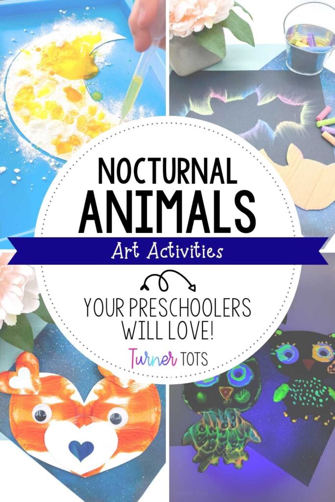 Nocturnal animals art projects that include a fizzy moon, a chalk bat silhouette, heart fox craft, and glow-in-the-dark owls.