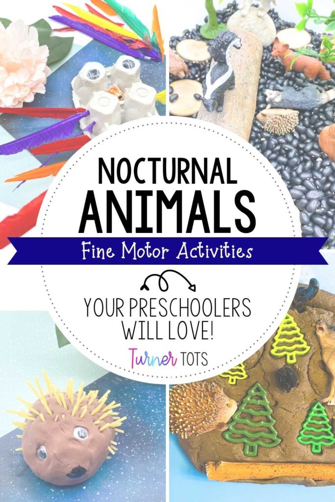 Nocturnal animal activities for fine motor skills including egg carton owls to insert feathers, a nocturnal animals sensory bin, play dough hedgehogs poked with spaghetti, and a nocturnal animal play dough invitation.