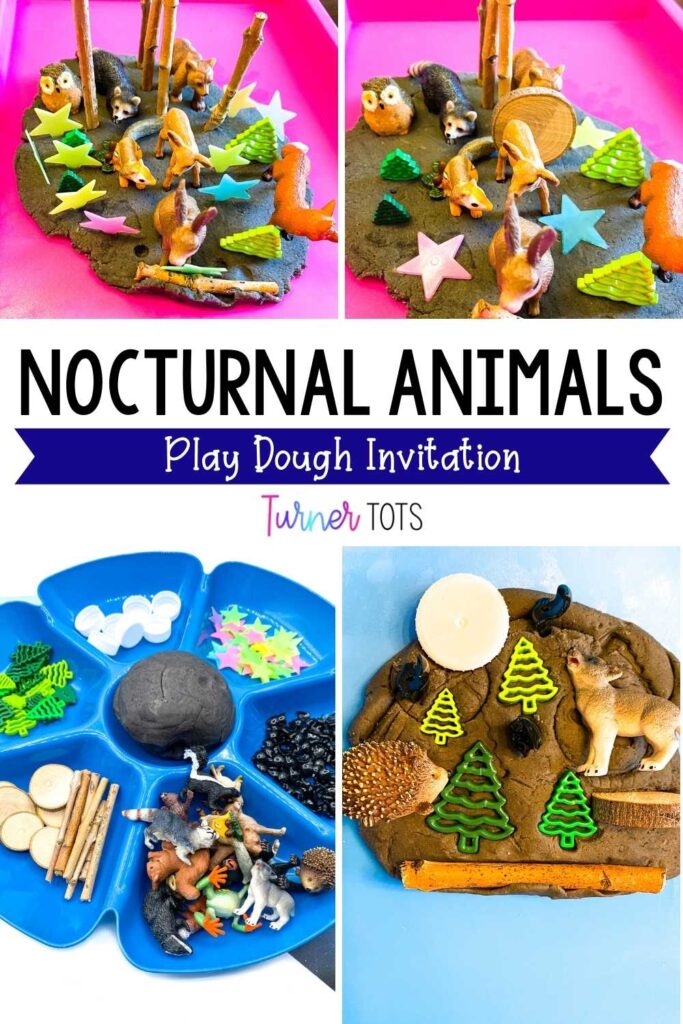 Nocturnal animal play dough invitation with black play dough, glow-in-the-dark stars, plastic pine trees, sticks, nocturnal animal figurines, and bats.
