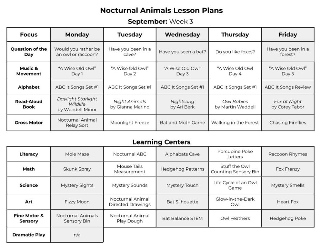 Nocturnal Animal Lesson Plans