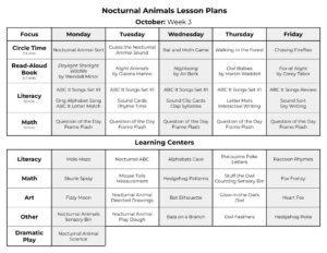 8 Nocturnal Animals Science Activities That Engage the Five Senses