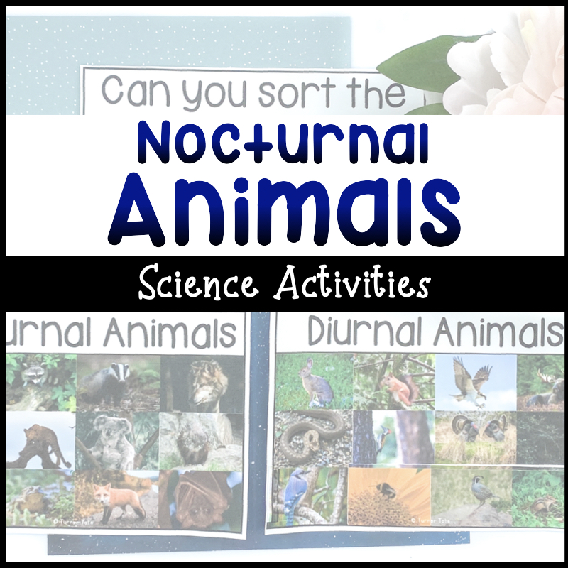 8 Nocturnal Animals Science Activities That Engage the Five Senses