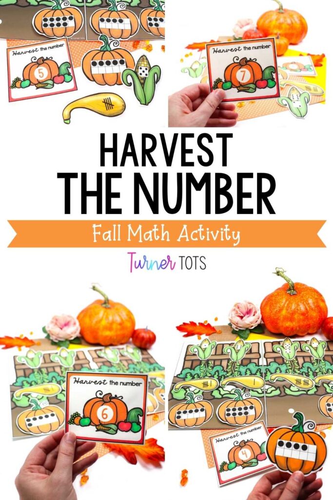 Harvest the Number is a fall math activity for preschoolers in which they draw a numeral card and pick the matching pumpkin, squash, and corn from the garden to work on number identification.