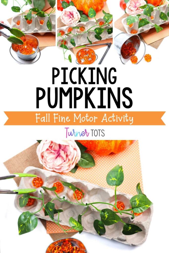Egg carton with vines and acrylic pumpkins for preschoolers to pretend to pick pumpkins out of using tongs as one of our fall fine motor activities.