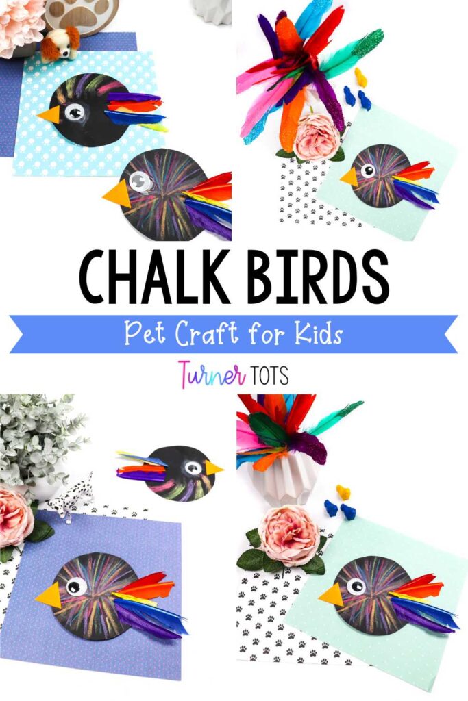 Bird crafts for kids are made by drawing with chalk on black paper and gluing on feathers.