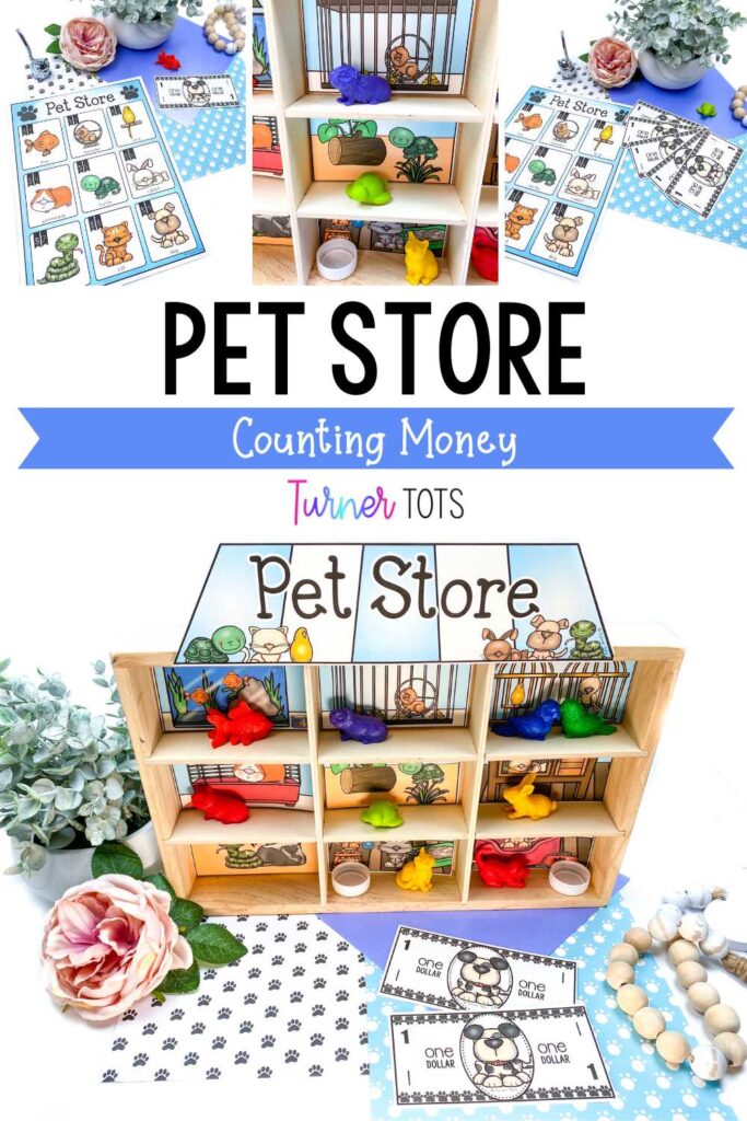 Miniature pet store built into a wooden box with compartments. Toddlers can buy the pet counters using doggie dollars as one of our pet math activities for preschoolers.