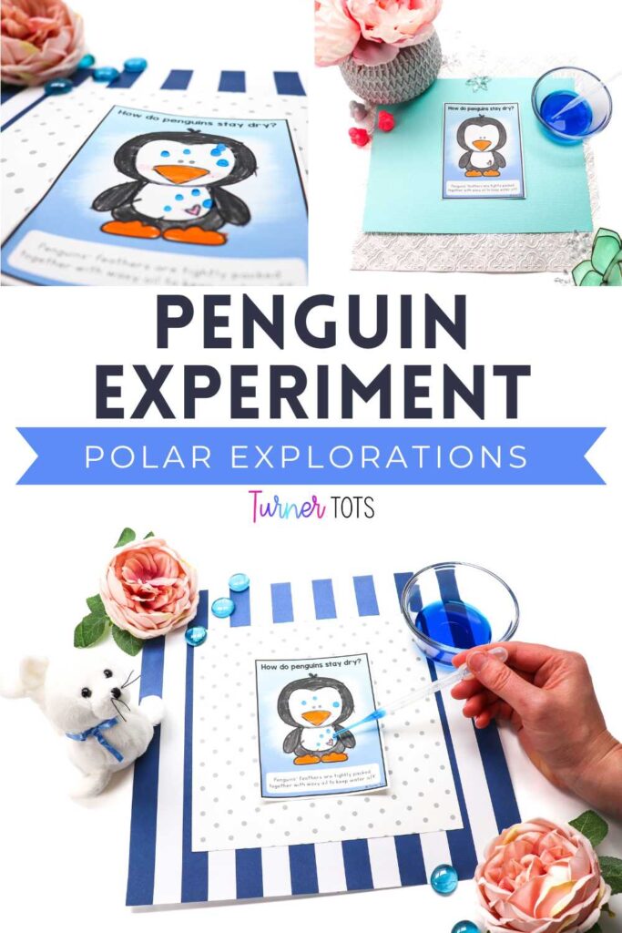 Penguin printouts colored with crayons to show how penguin feathers repel water droplets to stay dry in their polar environment.