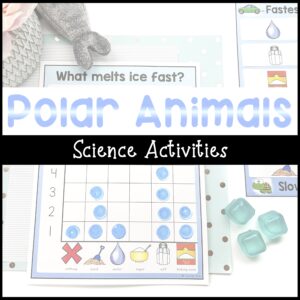 Polar animal science activities