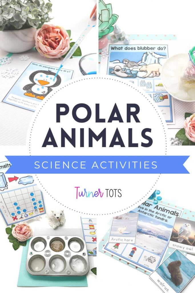Polar animals science activities for preschoolers include a penguin feather experiment, a blubber experiment, an ice experiment, and photographs to learn more about Arctic animals.