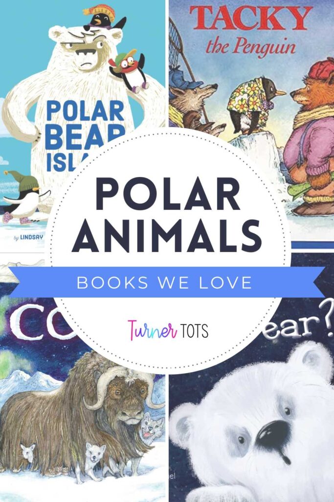 Arctic animals books for preschoolers include Polar Bear Island by Lindsay Bonilla, Tacky the Penguin by Helen Lester, Cozy by Jan Brett, and Are You a Polar Bear? By Andrew Gabriel.