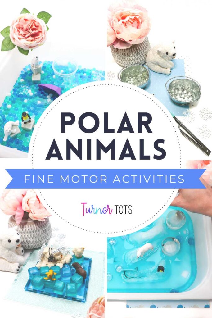 Winter fine motor activities include an Arctic animal water bead sensory bin, a marble “snowball” transfer game, a polar animal play dough invitation, and an ice excavation sensory bin.