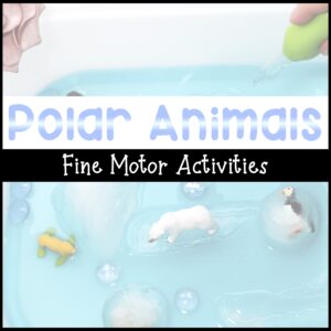 Polar Animals Fine Motor Activities